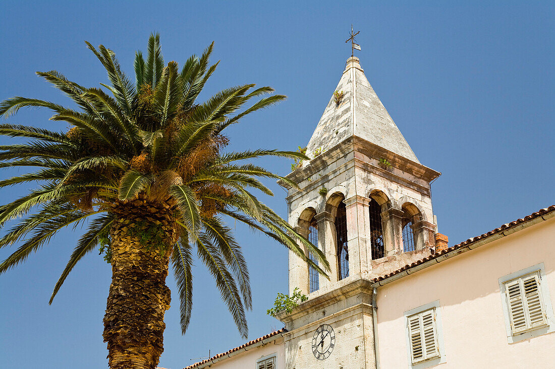 Belltower with palm tree under blue sky, Makarska, Dalmatia, Croatia, Europe