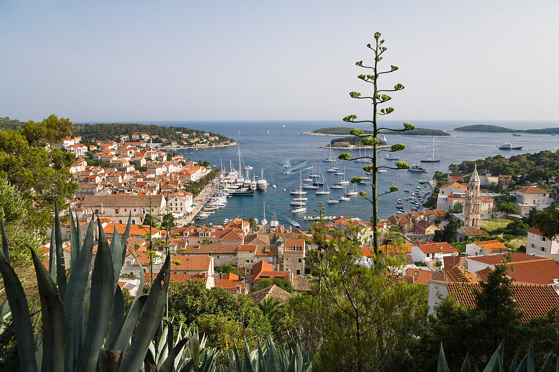 Blick auf die Häuser und den Hafen von Hvar, Insel Hvar, Dalmatien, Kroatien, Europa