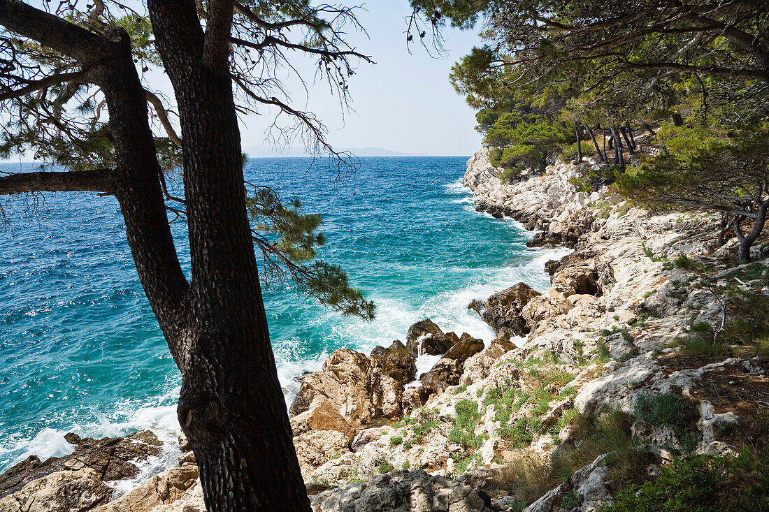 Meer und felsige Küste im Sonnenlicht, Dalmatien, Kroatien, Europa