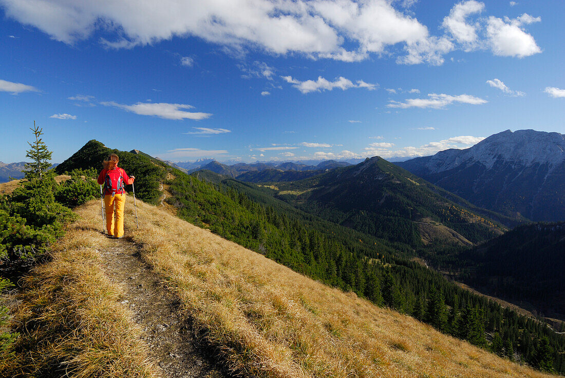 Woman hiking at Schildenstein, Mangfall range, Bavaria, Germany