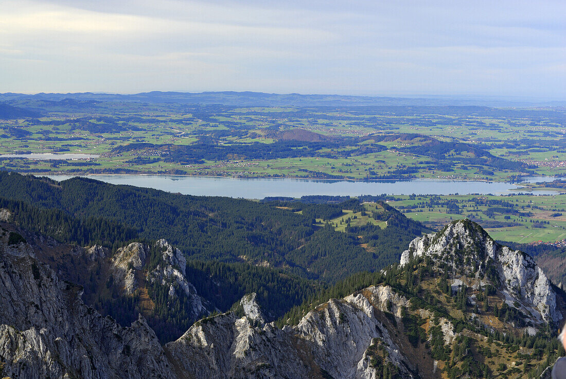 Blick auf den Forggensee von der Klammspitze, Ammergauer Alpen, Pfaffenwinkel, Bayern, Deutschland