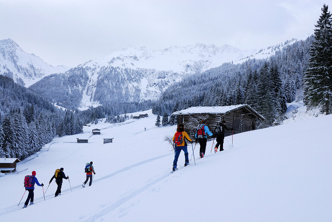 Backcounty skiiers on alpine meadow with hay barns, Wiedersberger Horn, Kitzbuehel Alps, Tyrol, Austria