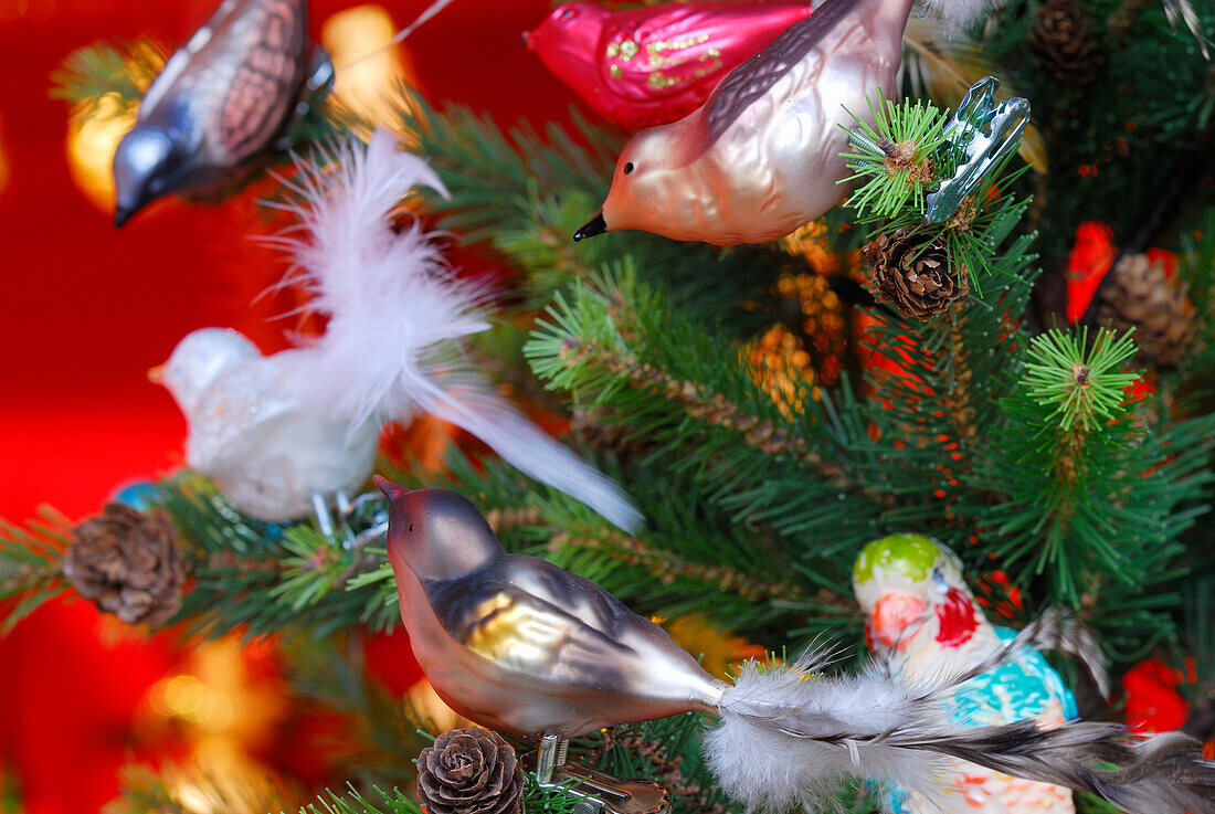Vögel aus Glas an einem Weihnachtsbaum, Christkindlmarkt, Bad Tölz, Bayern, Deutschland