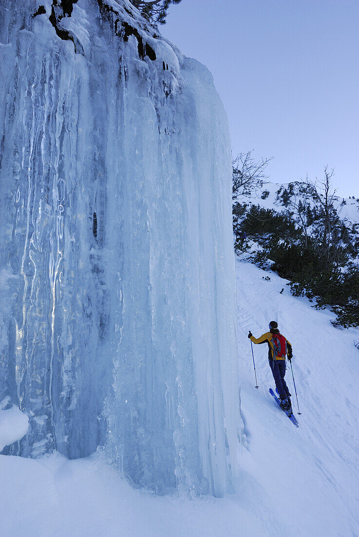 Woman backcountry skiing near frozen waterfall, Geierkopf, Ammergau Alps, Bavaria, Germany