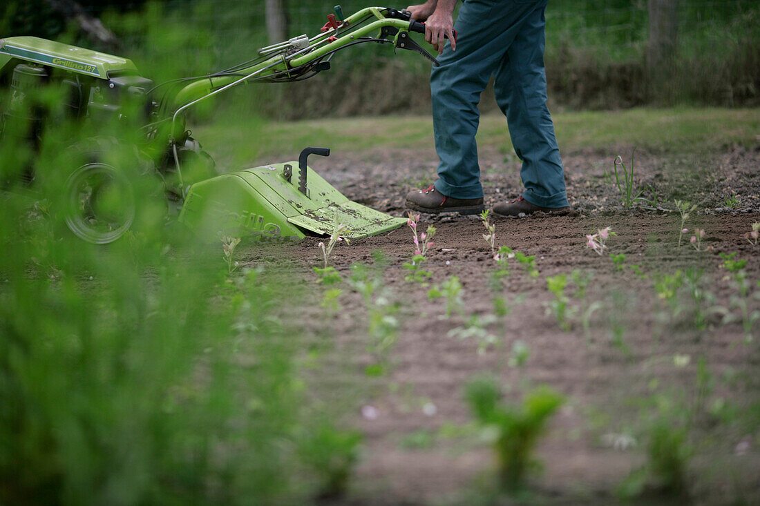 Farmer using rotary tiller, biological dynamic (bio-dynamic) farming, Demeter, Lower Saxony, Germany