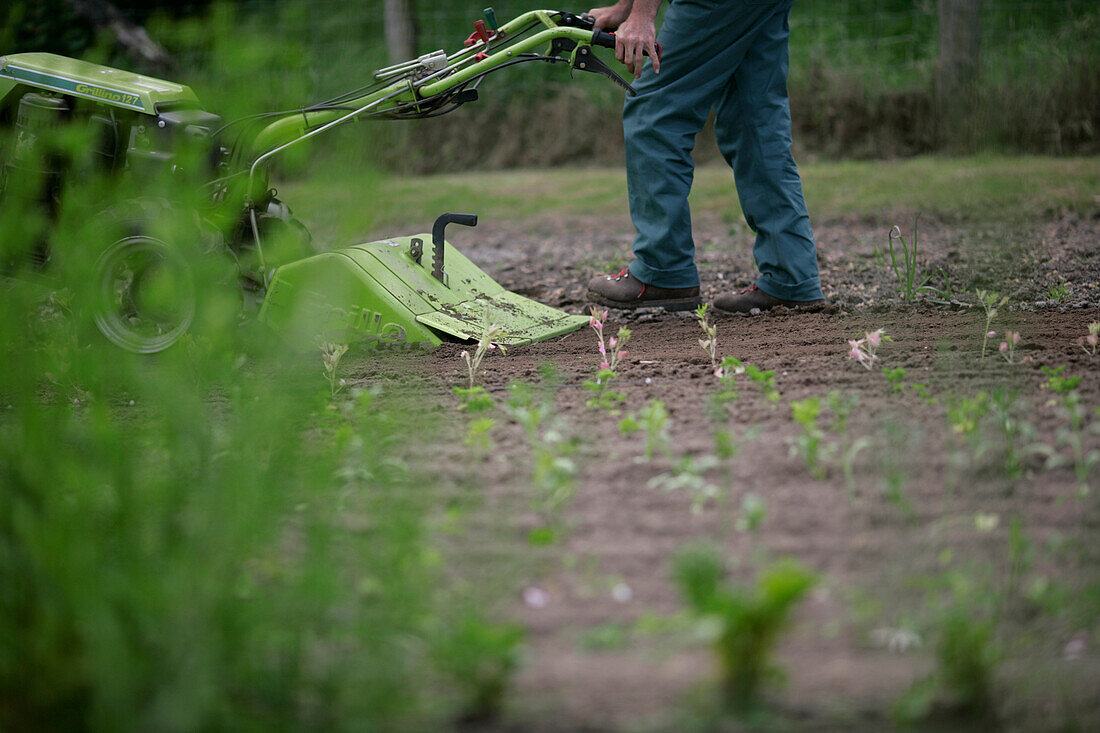 Landwirt arbeitet mit einer Motorfräse, biologisch-dynamische Landwirtschaft, Demeter, Niedersachsen, Deutschland