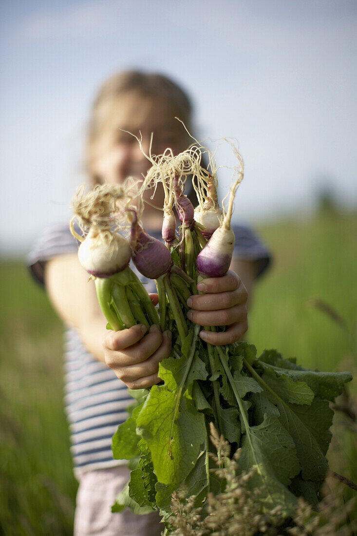 Mädchen (7 Jahre) mit frisch geerntetem Rettich aus biologisch-dynamischer Landwirtschaft, Niedersachsen, Deutschland