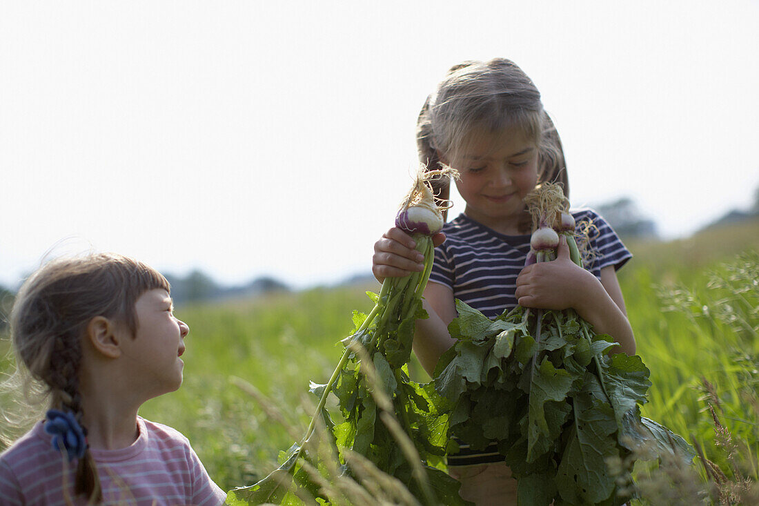 Girls (4-7 years) with fresh radishes, biological dynamic (bio-dynamic) farming, Lower Saxony, Germany