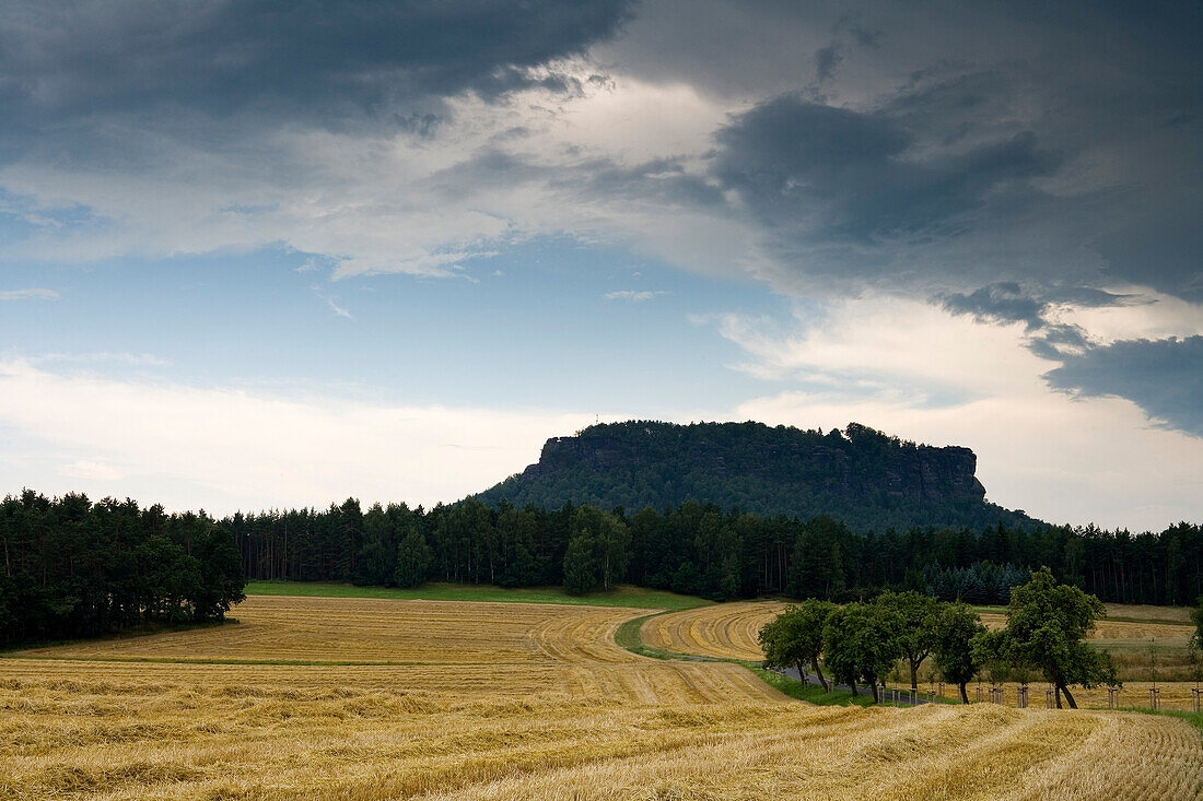 Lilienstein, Sächsische Schweiz, Elbsandsteingebirge, Sachsen, Deutschland