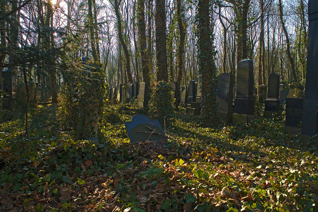 the Jewish cemetery in Berlin-Weißensee, the biggest preserved Jewish cemetery in Europe. Berlin, Germany