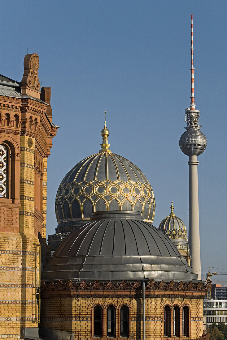 Centrum Judaicum, Neue Synagoge, Fernsehturm im Hintergrund, Berlin, Deutschland