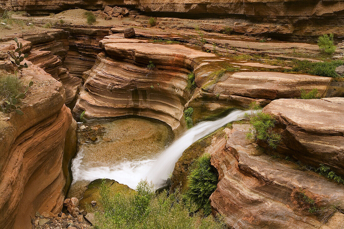 United States, US, Arizona, Grand Canyon National Park, Colorado River, Deer Creek.