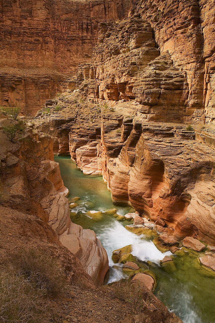 United States, US, Arizona, Grand Canyon National Park, Colorado River, Havasu Creek.