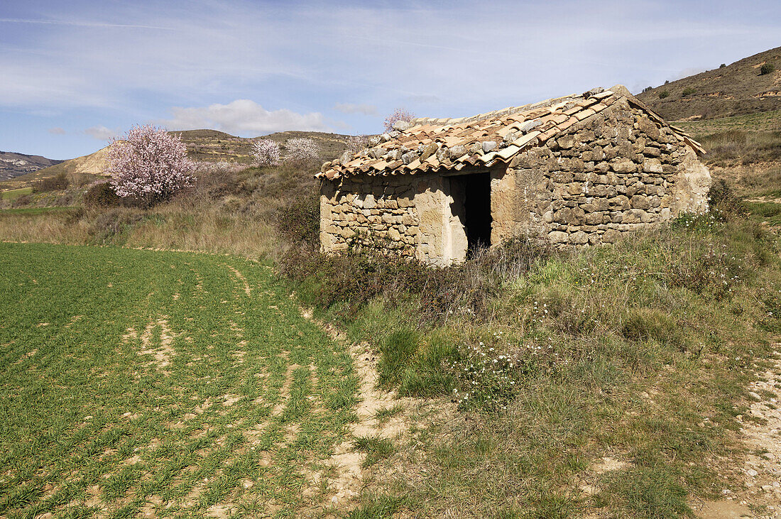 Borda. Anies, La Hoya de Huesca. Huesca province, Aragon, Spain.