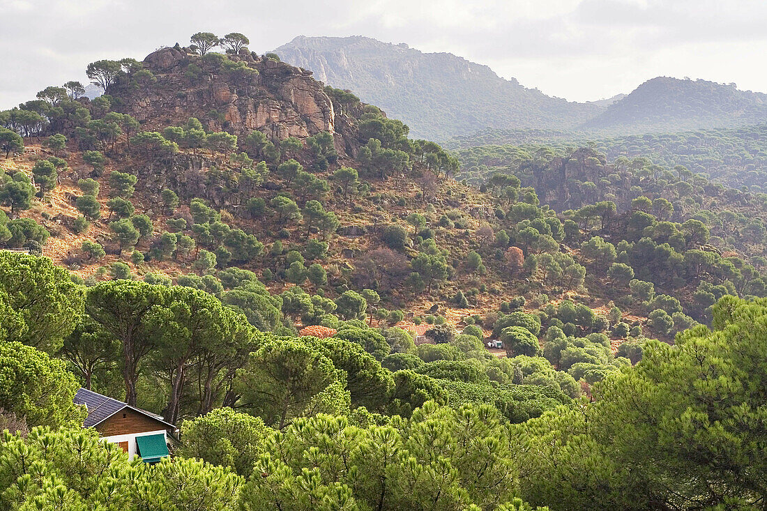 Cerro Almodón. San Martín de Valdeiglesias. Madrid. España.