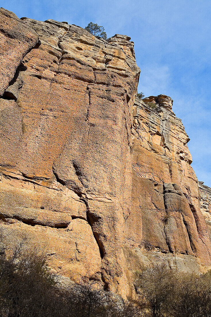 Sickle of Gallo River. Guadalajara province, Spain