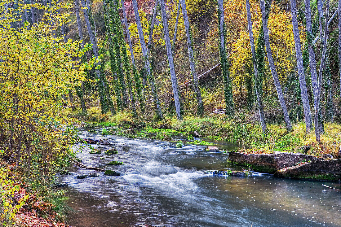 Gallo River. Guadalajara province, Spain