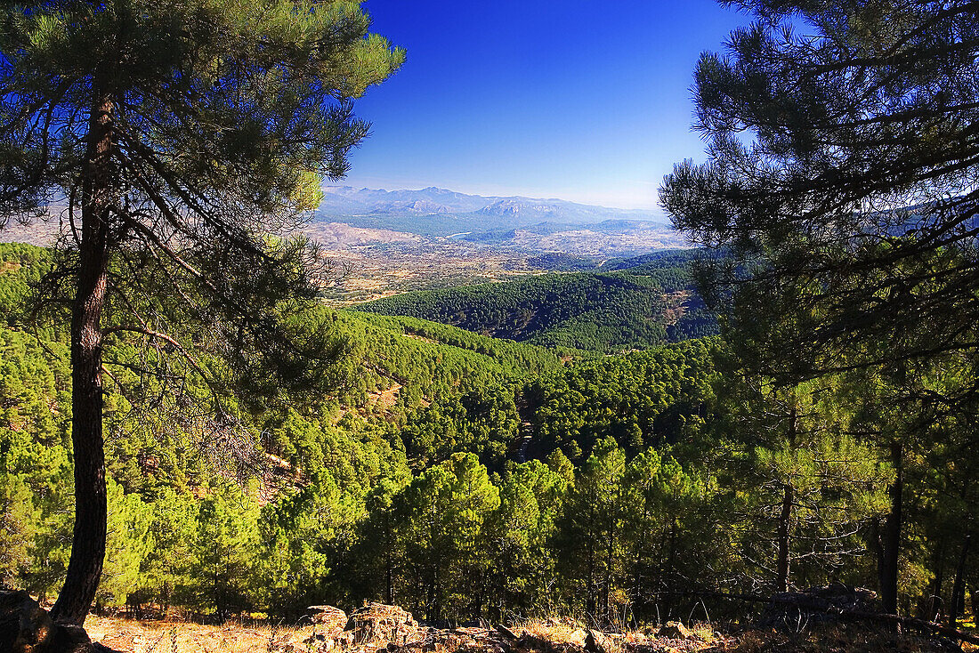 Valle de Iruelas. Sierra de Gredos. Castilla León. Spain.