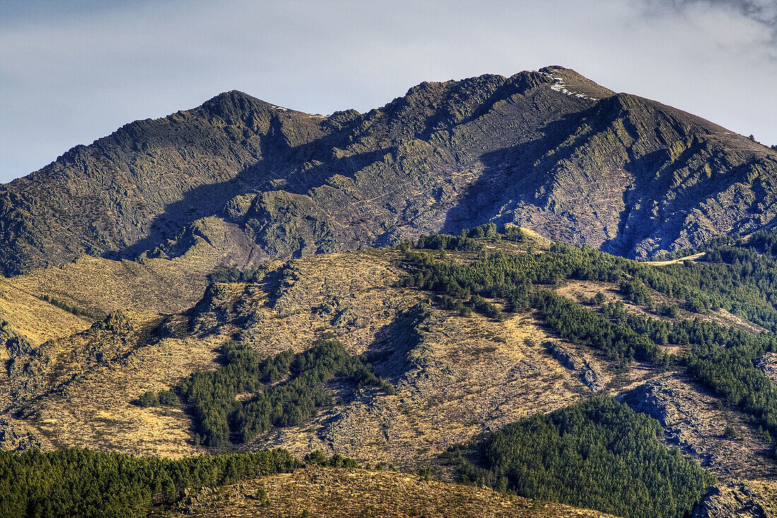 Peña la Cabra, Sierra Norte. Madrid. Spain.