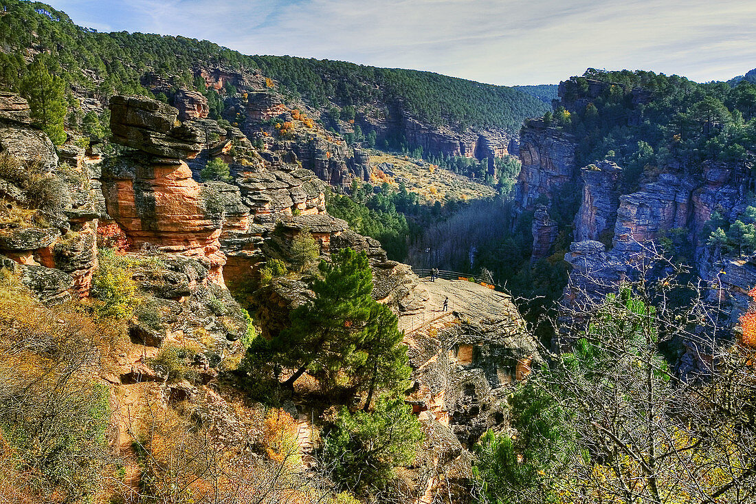 Sickle of Gallo River. Alto Tajo Natural Park. Guadalajara province, Spain