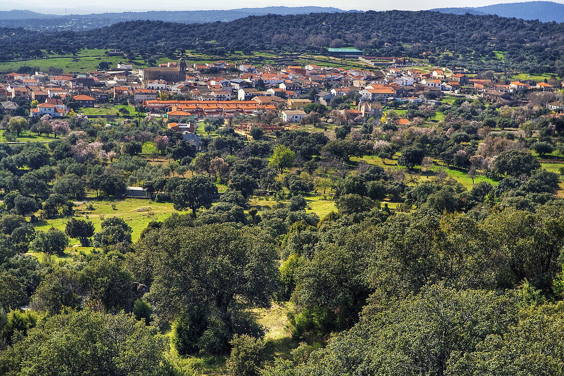 Pelahustán. Castilla la Mancha. España.