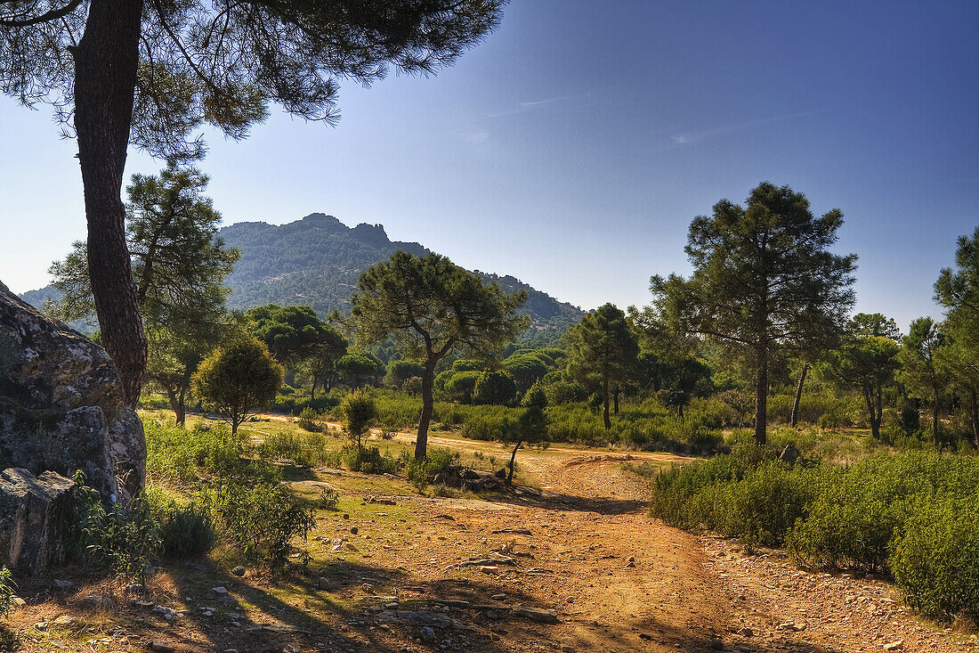 La Peña Muñana. Cadalso de los Vídrios. Madrid. Spain.