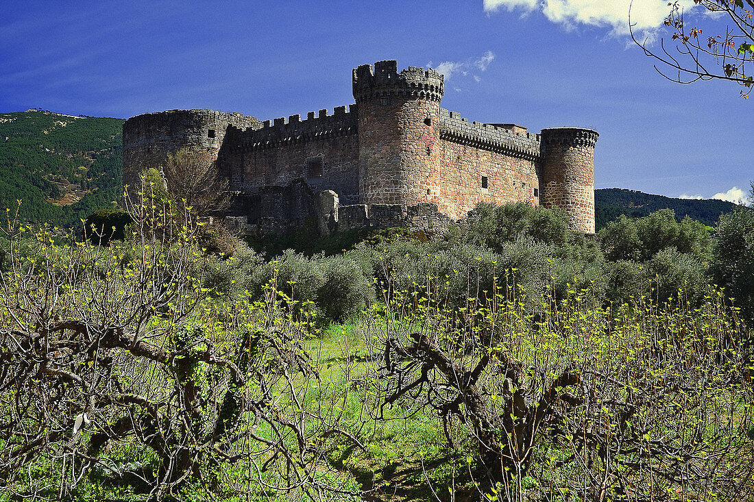 Duques de Alburquerque' castle. Castilla León. Spain.
