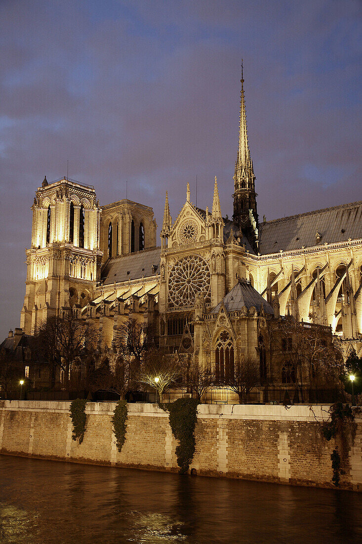 The night view of Notre-Dame Cathedral. Paris. France
