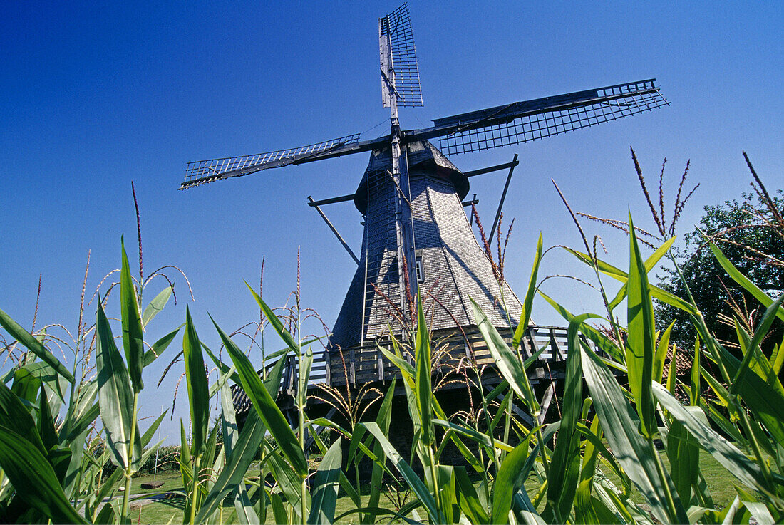 Hollich mill, Steinfurt, Munsterland, North Rhine-Westphalia, Germany