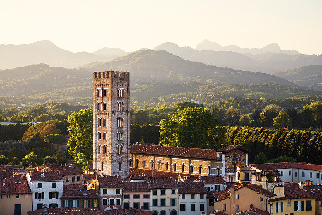Cathedral San Martino with Belltower, Lucca, Tuskany, Italy