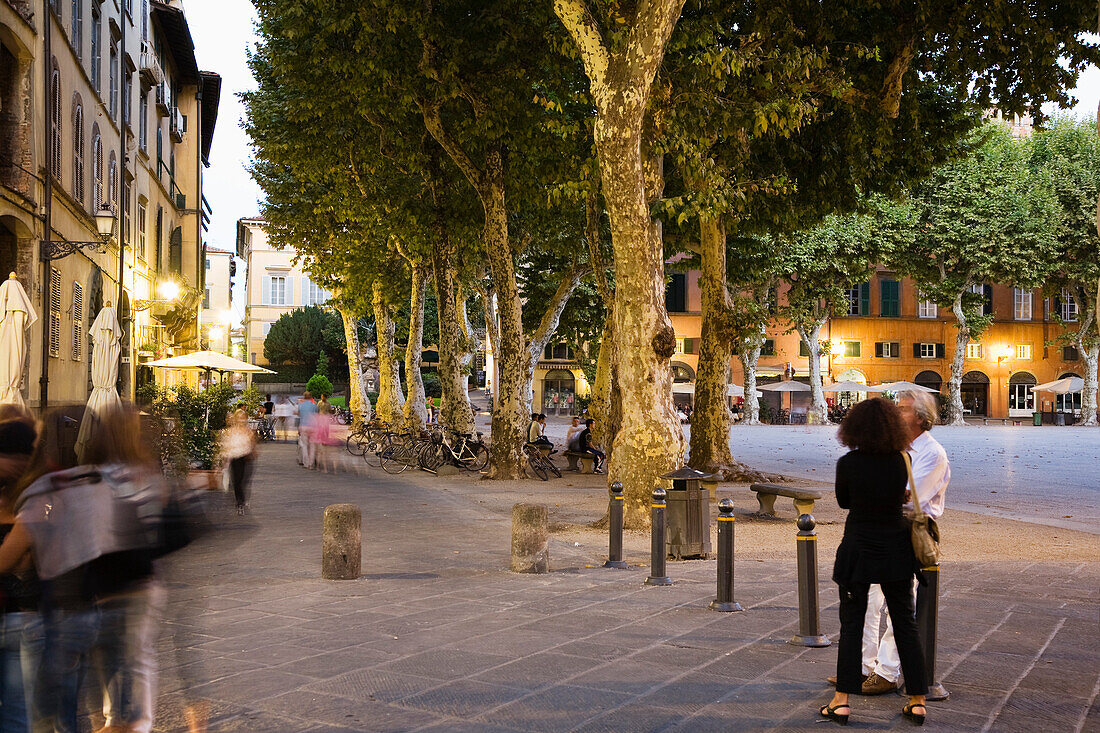 Piazza Napoleone, Lucca, Toskana, Italien