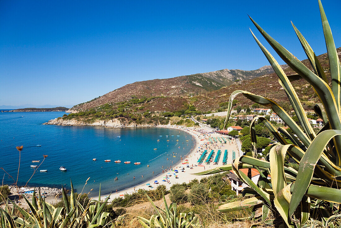 Bucht von Cavoli, Elba, Italien