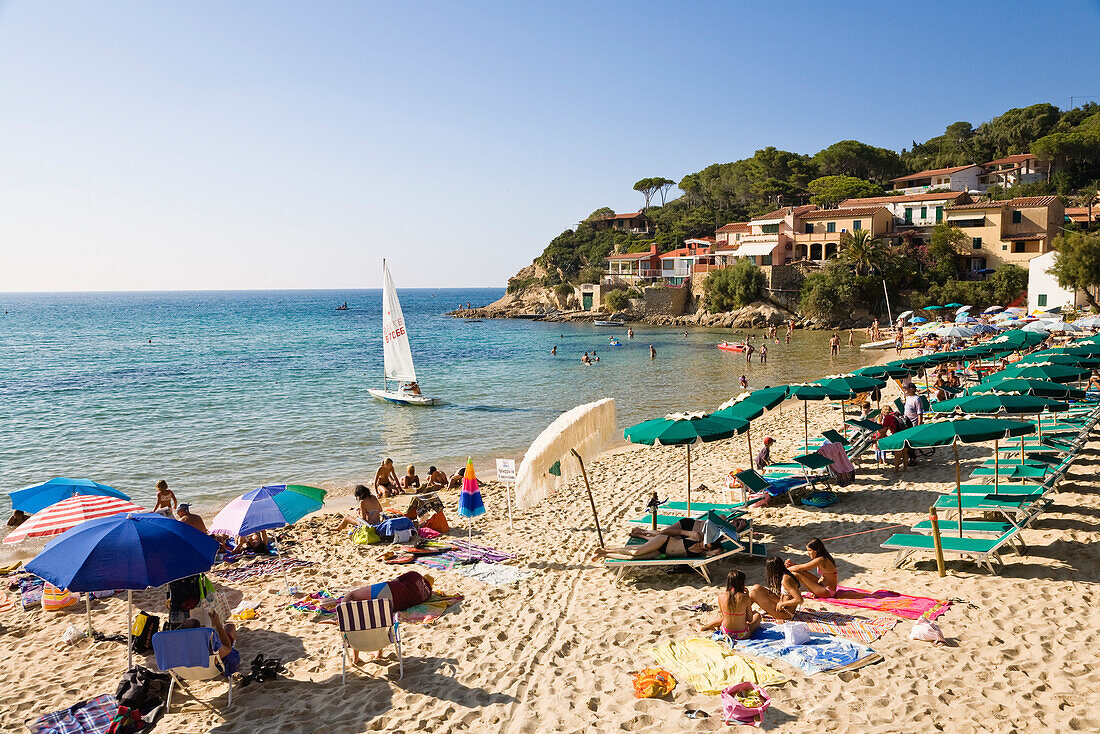 Beach at Biodola, Elba, Italy, Mediterranean, Europe
