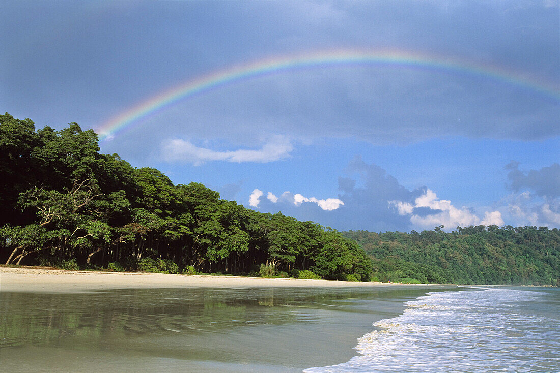 Regenwald und Strand, Havelock Island, Andamanen, Indien