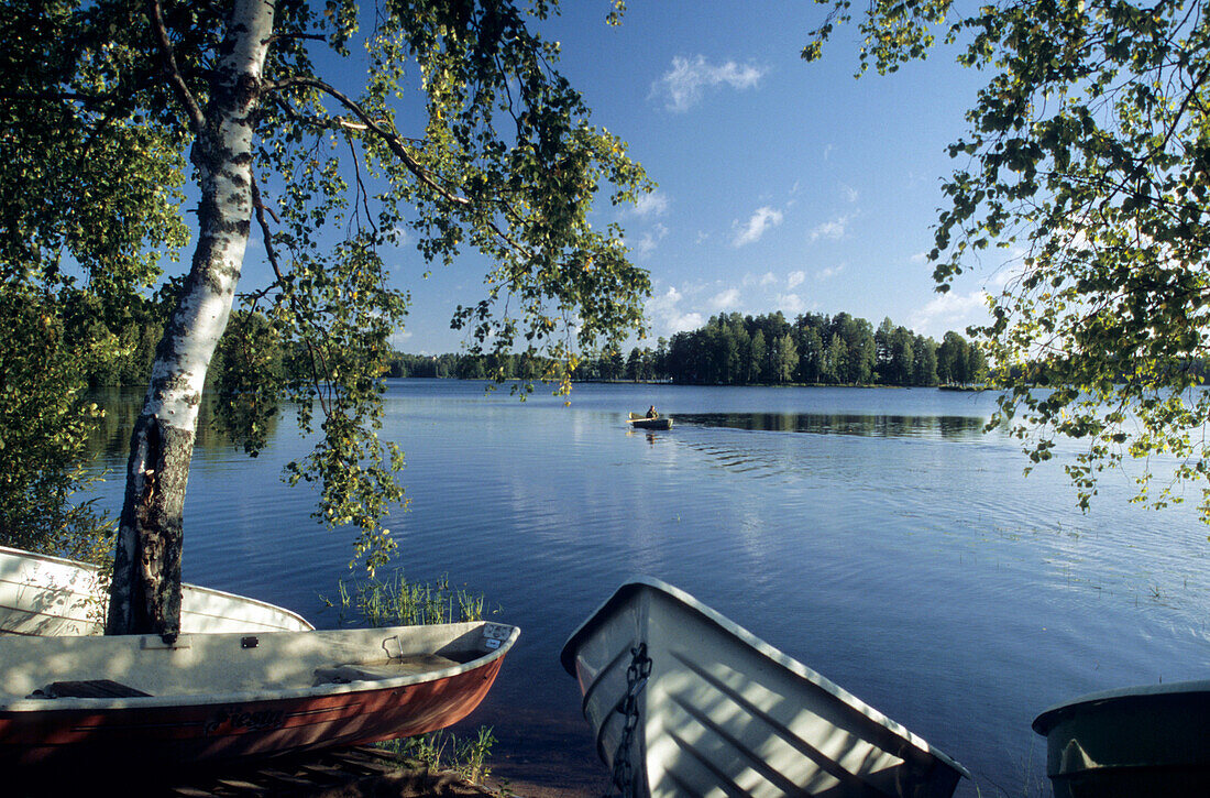 Birken und Boote am Ufer des Päijanne Sees, Jyväskylä, Finnland, Europa