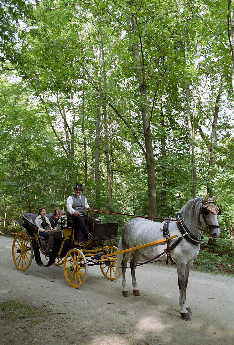 Kutsche, Englischer Garten, München, Bayern, Deutschland