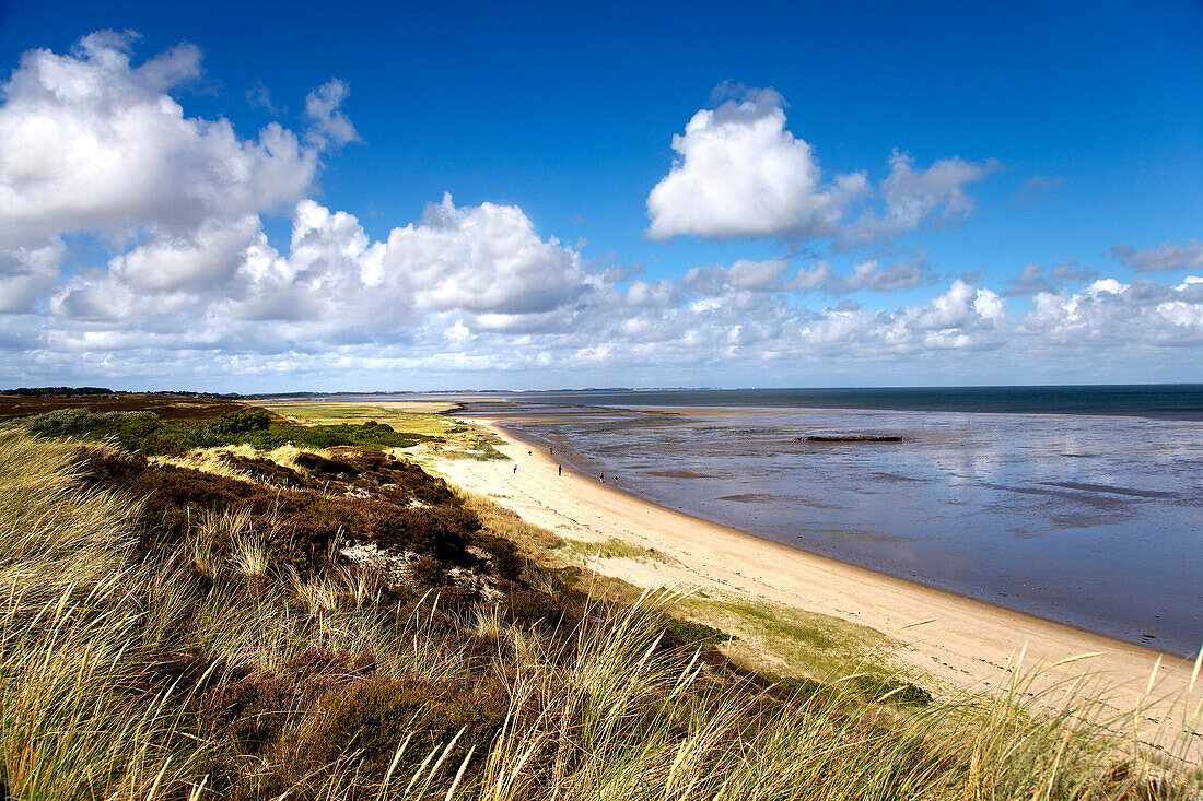 Beach at Braderup heath, Braderup, Sylt Island, Schleswig-Holstein, Germany