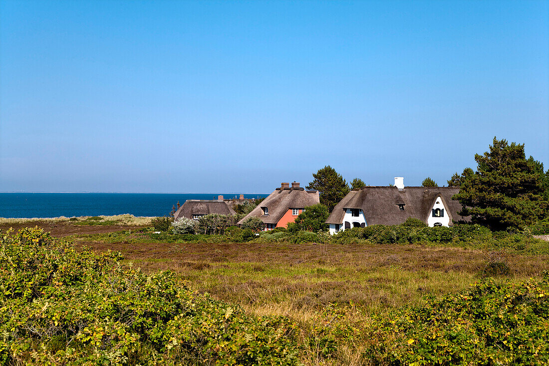 Thatched Houses, Braderup Heath, Braderup, Sylt Island, Schleswig-Holstein, Germany