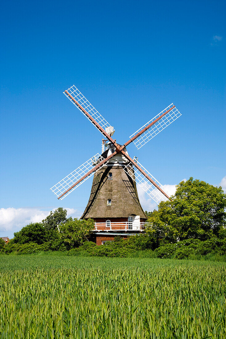 Windmill in Oldsum, Foehr island, North Frisian Islands, Schleswig-Holstein, Germany