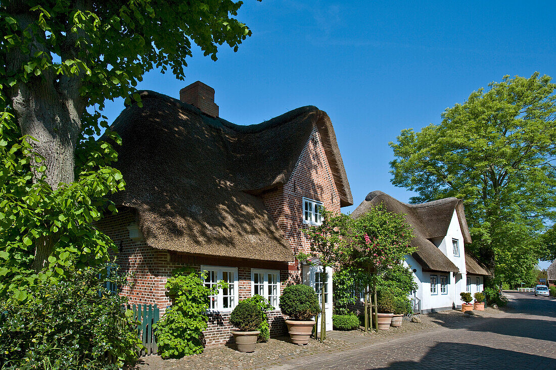 Thatched houses, Nieblum, Foehr island, North Frisian Islands, Schleswig-Holstein, Germany