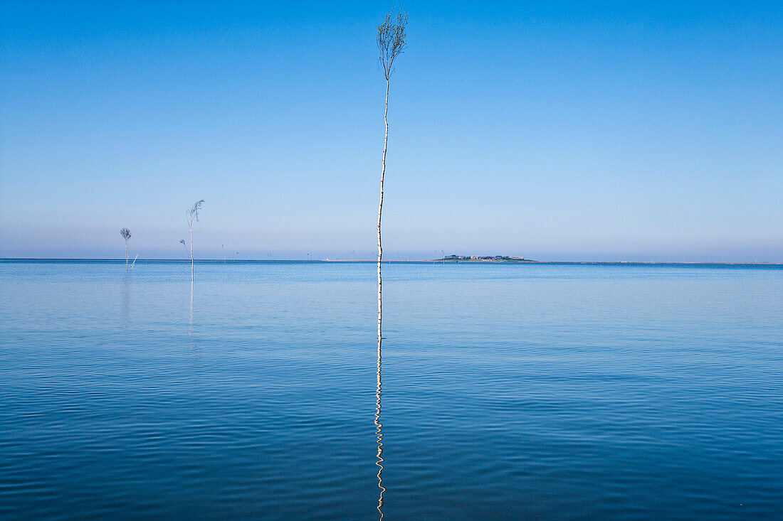 Blick zur Hallig Oland, Nordfriesland, Schleswig-Holstein, Deutschland