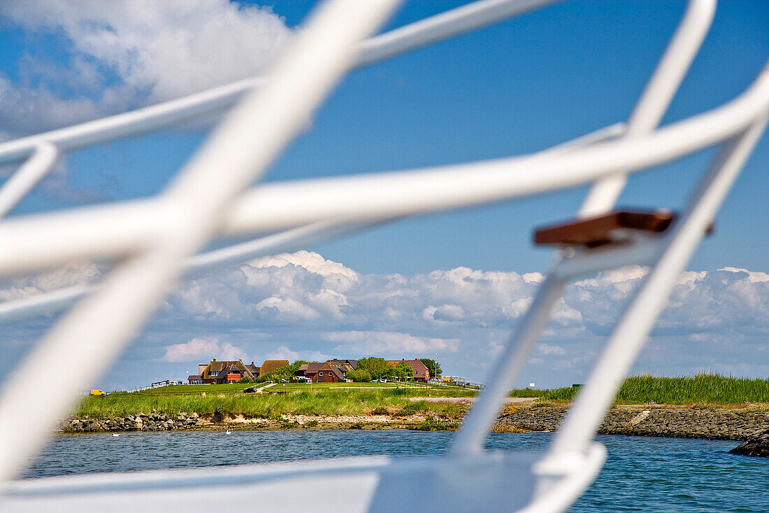 Blick auf eine Warft, Hallig Hooge, Nordfriesland, Schleswig-Holstein, Deutschland