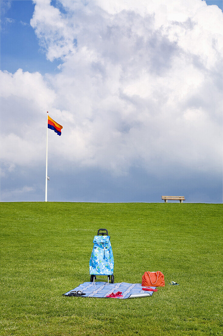 Rug on a dyke, Nordstrand Island, North Frisian Islands, Schleswig-Holstein, Germany