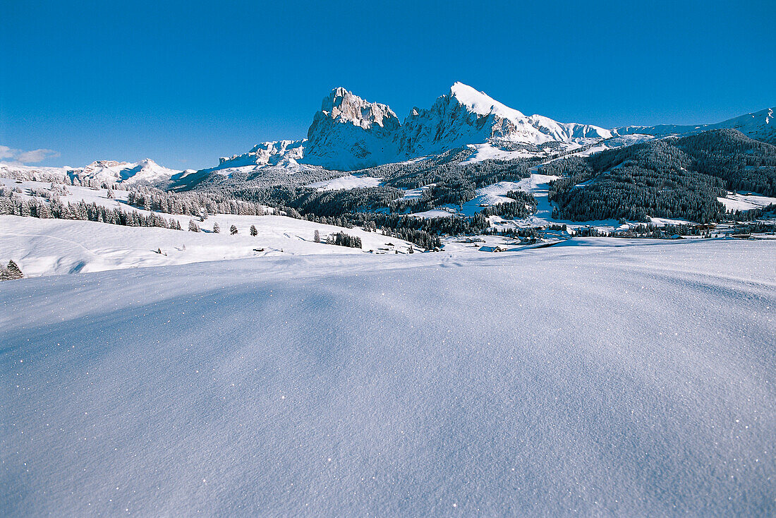 Verschneite Winterlandschaft unter blauem Himmel, Seiser Alm, Südtirol, Italien, Europa