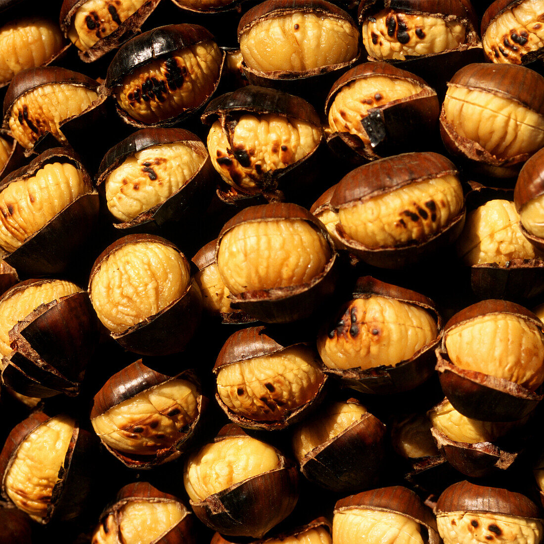 Roasted chestnuts, South Tyrol, Italy, Europe