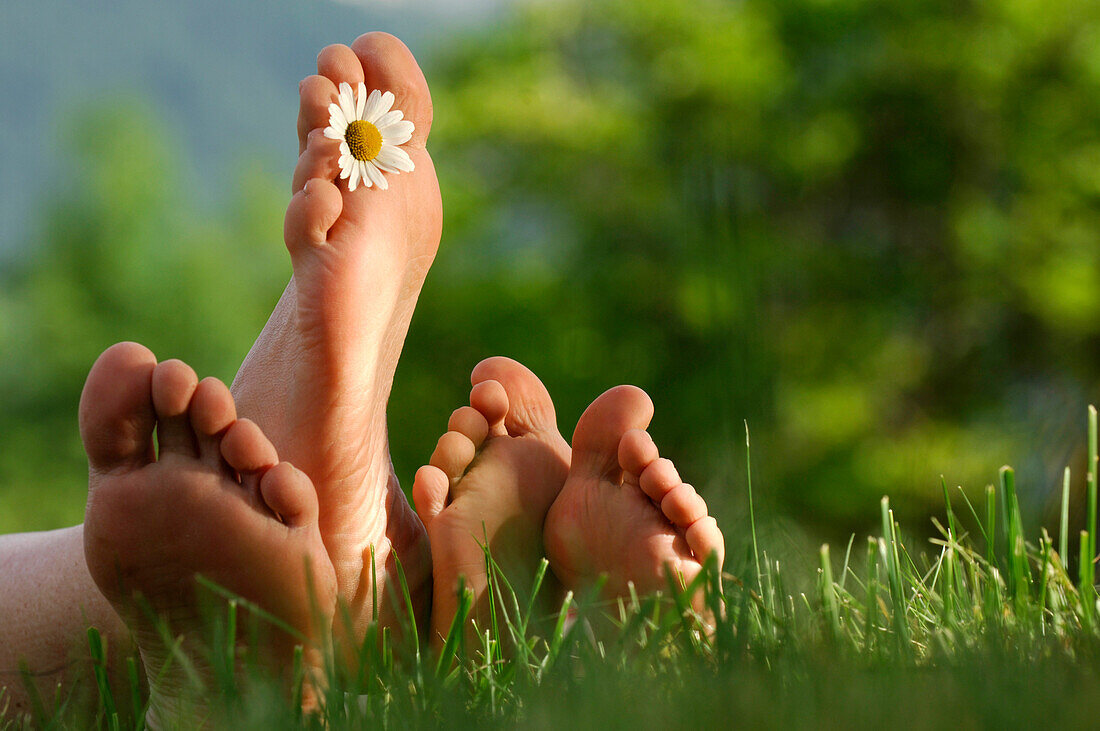 Two pairs of feet in the grass, South Tyrol, Italy, Europe