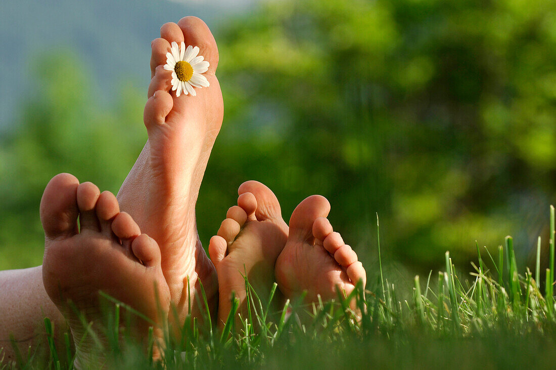 Zwei Paar Füsse im Gras, Südtirol, Italien, Europa