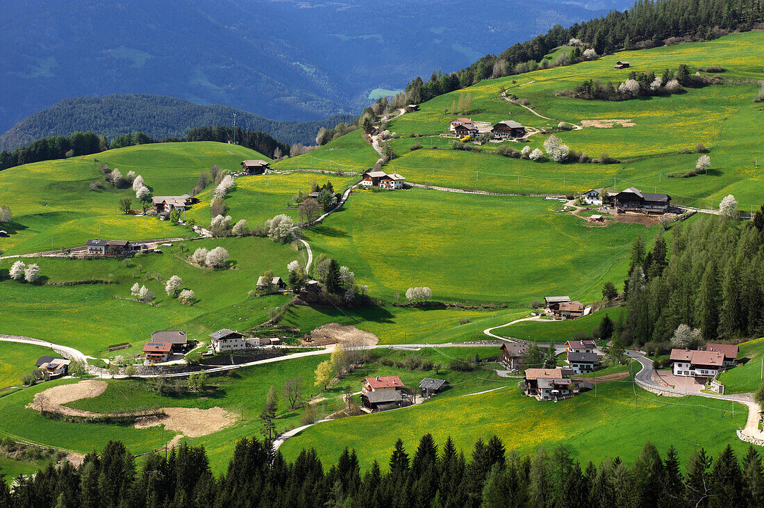 Blick auf Häuser in einem grünen Tal, Kastelruth, Südtirol, Italien, Europa