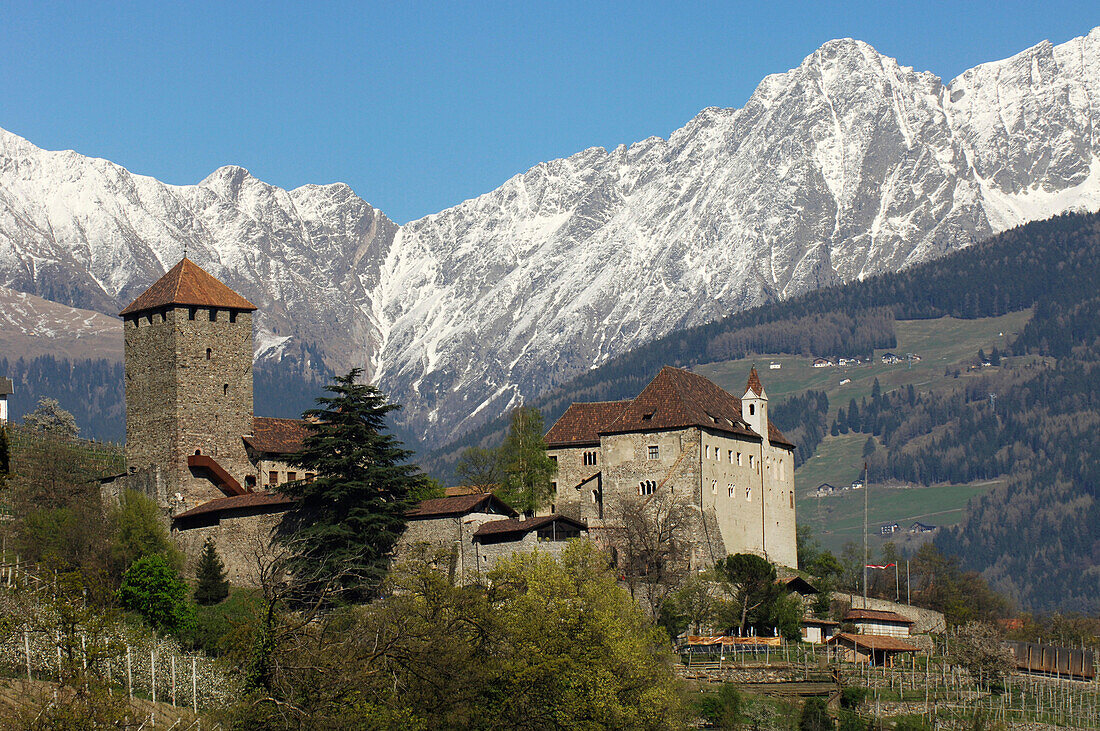 Schloss Tirol im Frühling vor verschneiten Bergen, Burggrafenamt, Etschtal, Südtirol, Italien, Europa