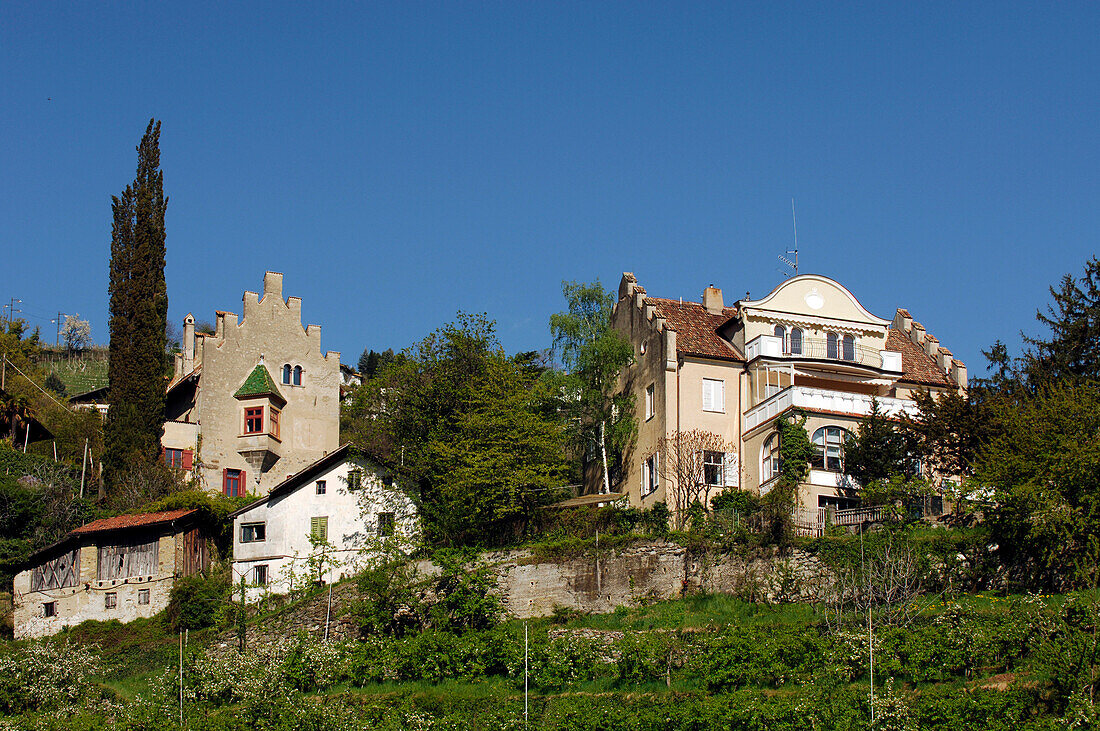 Residential houses under blue sky, Merano, Val Venosta, South Tyrol, Italy, Europe